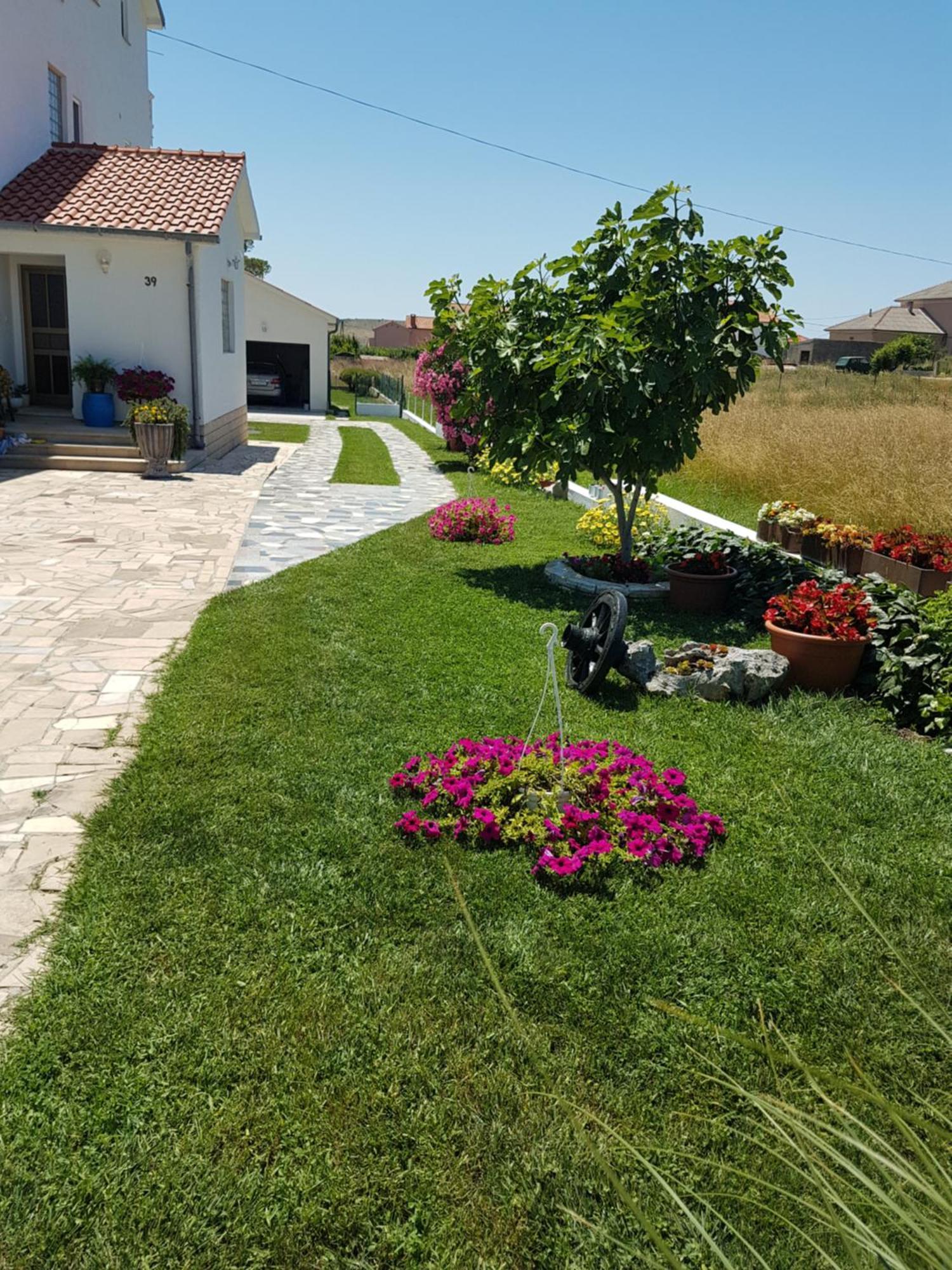Apartments Smilja Ljubač Екстериор снимка
